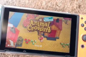 Animal Crossing